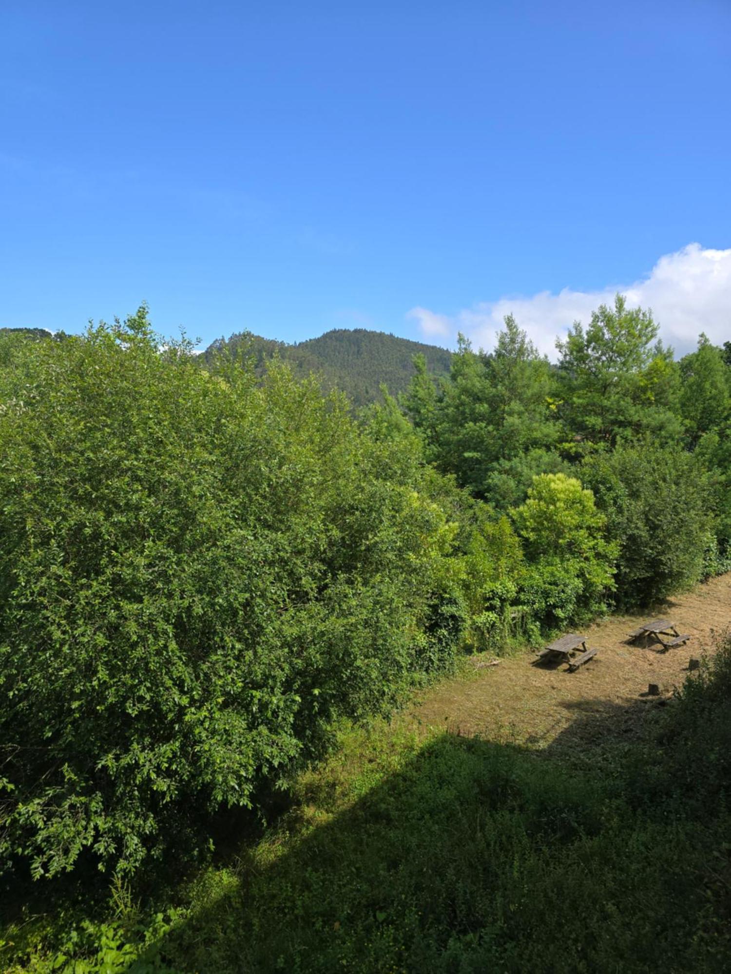 Corias Casona Junto Al Narcea Villa Kültér fotó